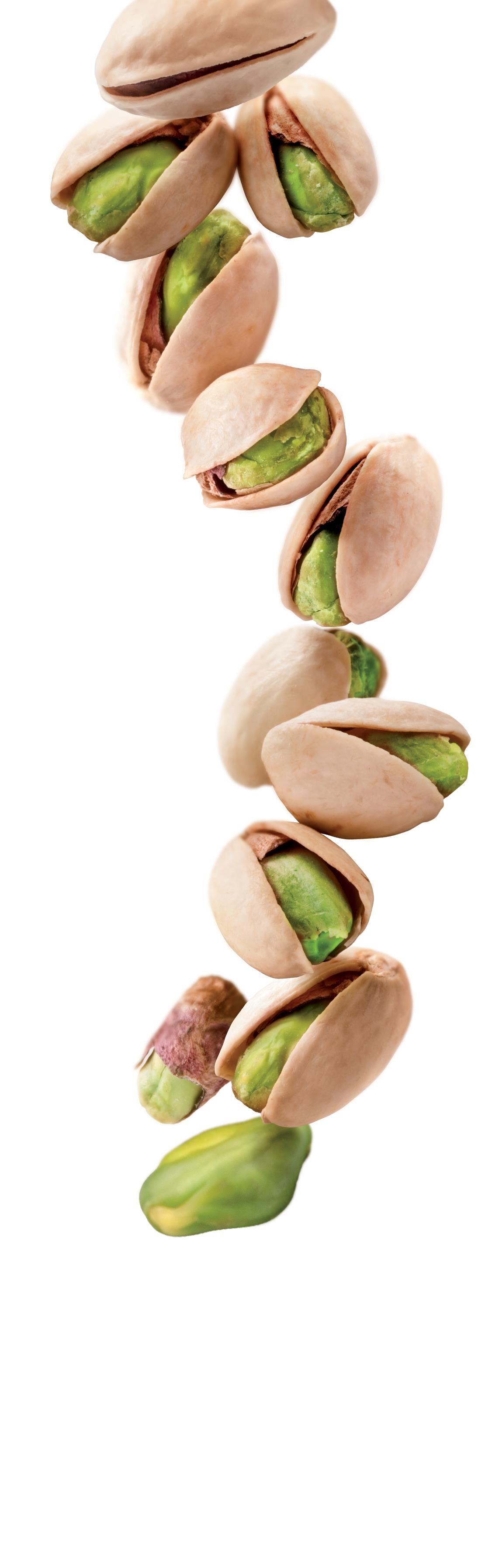 1883 - Pistachio Syrup photo 2
