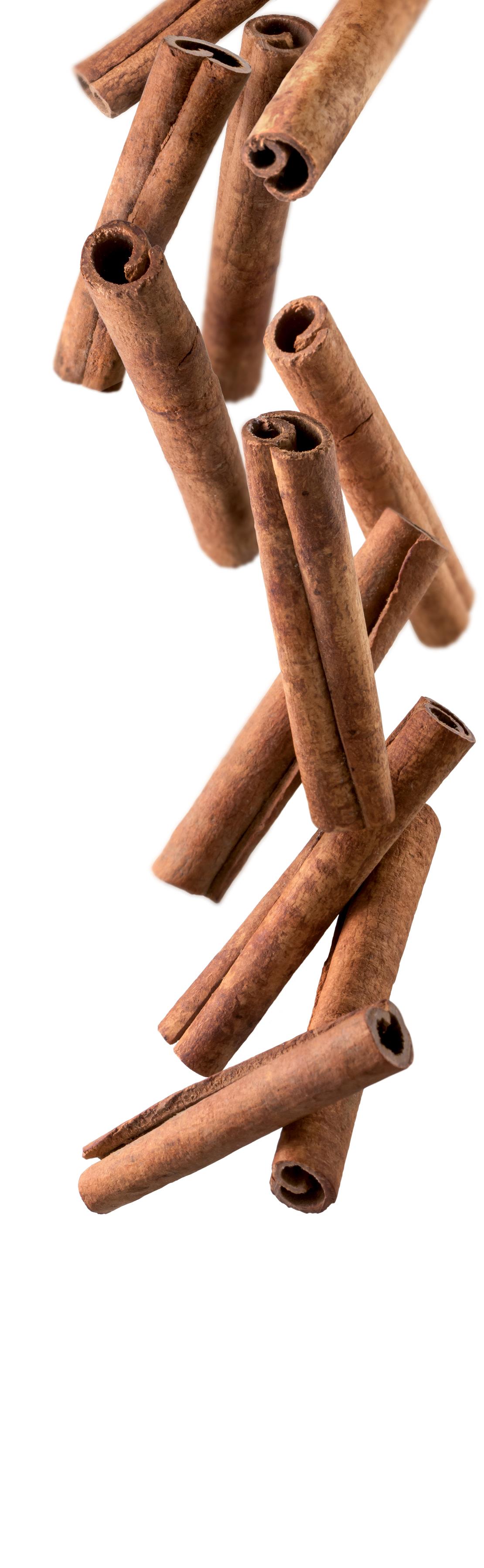 1883 Syrup - Cinnamon (1x1L) photo 2