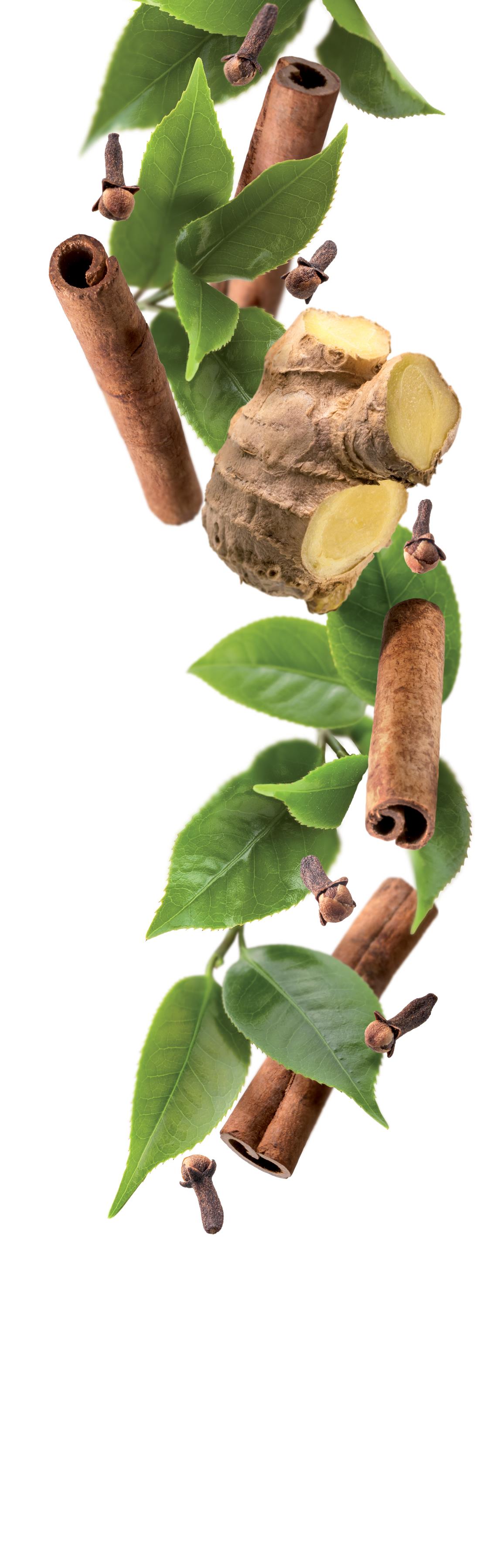 1883 Syrup - Chai Tea (1x1L) photo 2