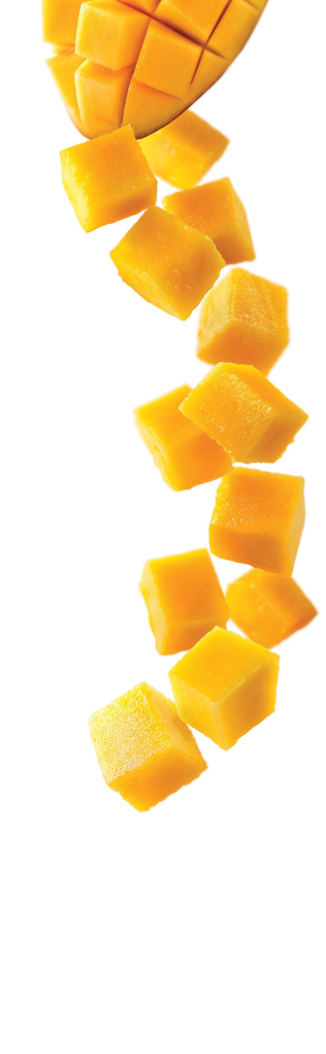 1883 Syrup - Mango (1x1L) photo 2