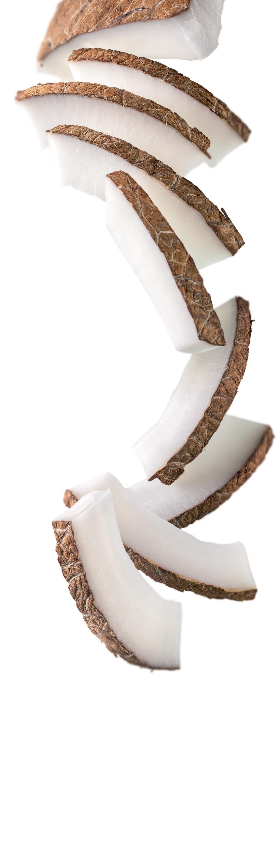 1883 Syrup - Coconut (1x1L) photo 2