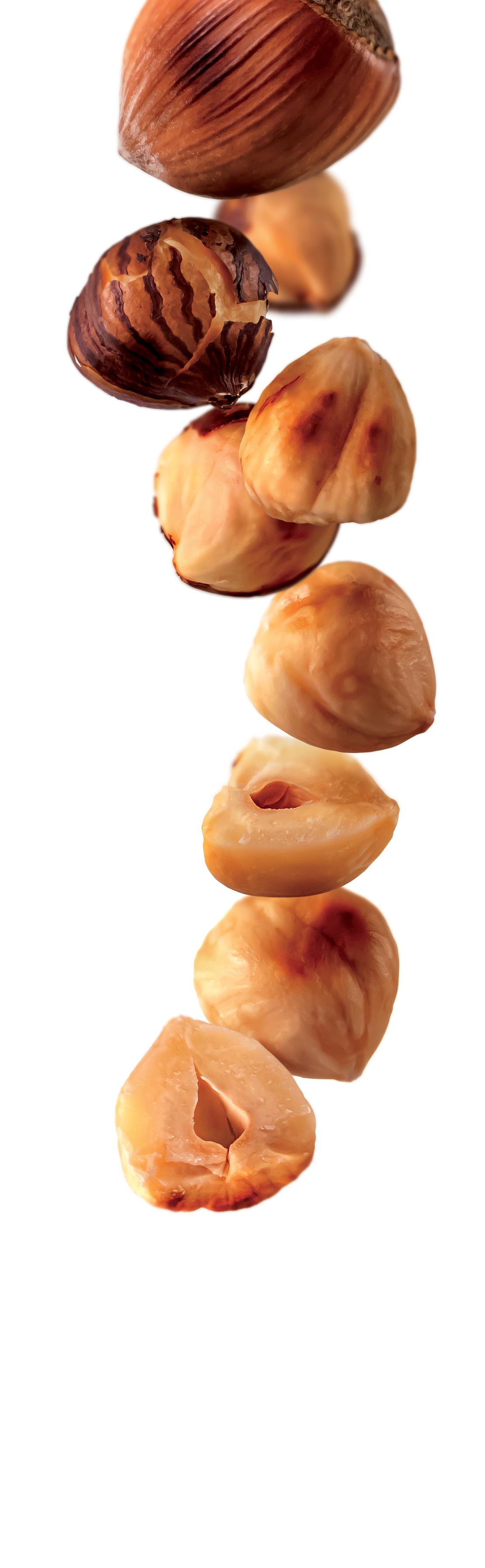 1883 Syrup - Roast Hazelnut (1x1L) photo 2