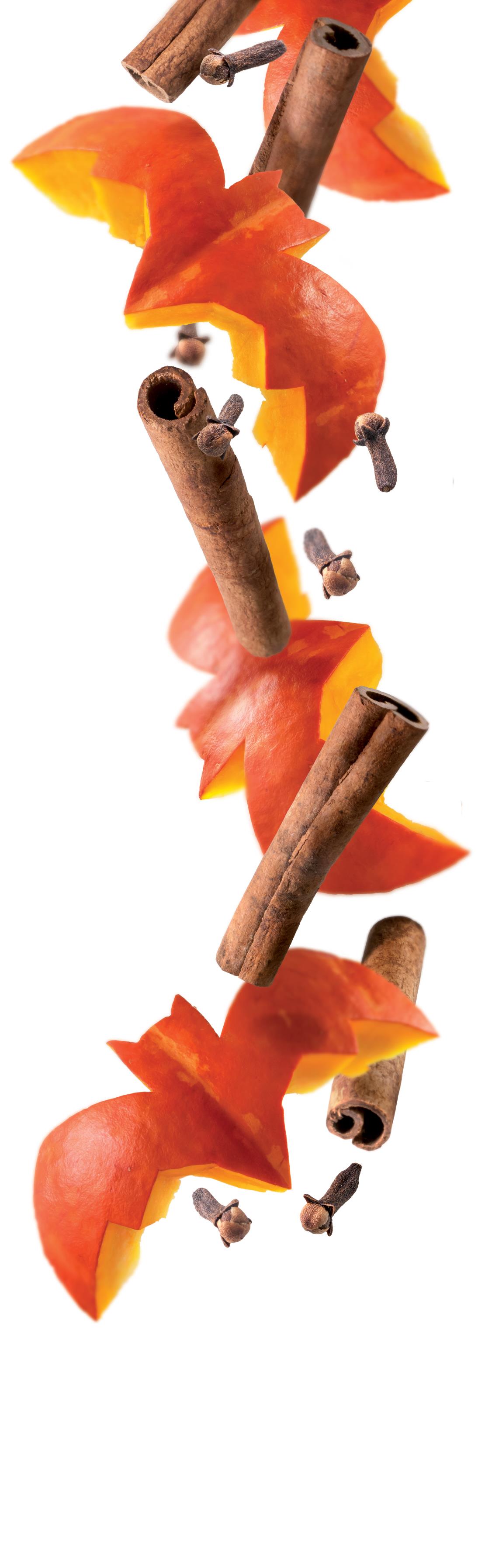 1883 Syrup - Pumpkin Spice (1x1L) photo 2