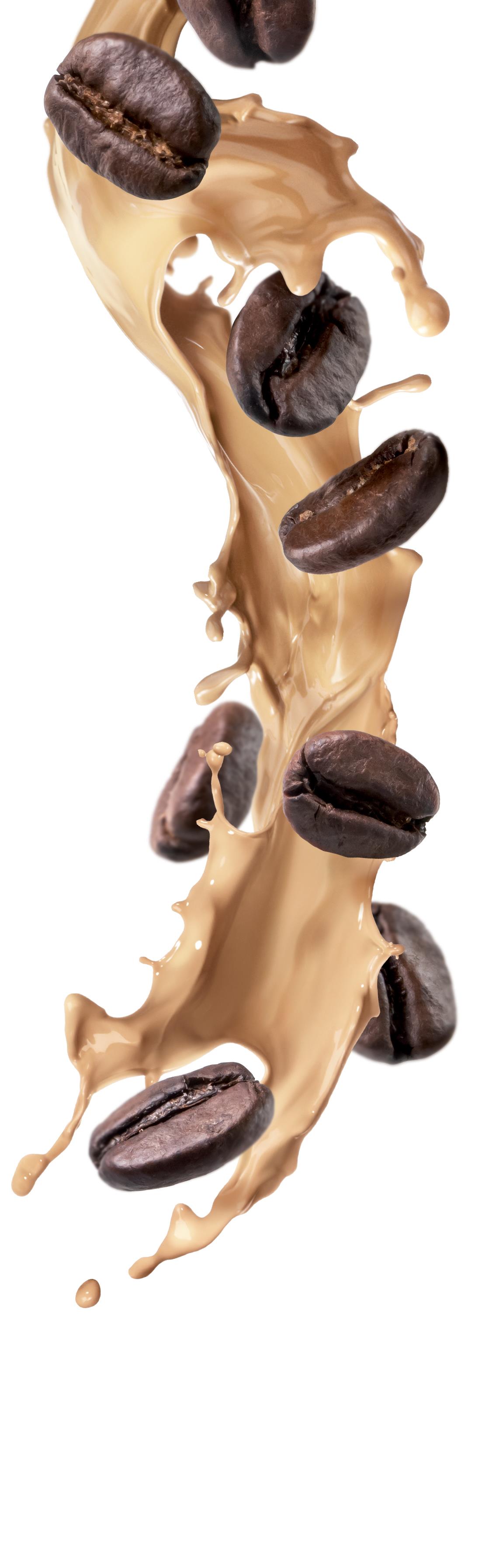 1883 Syrup - Irish Cream (1x1L) photo 2