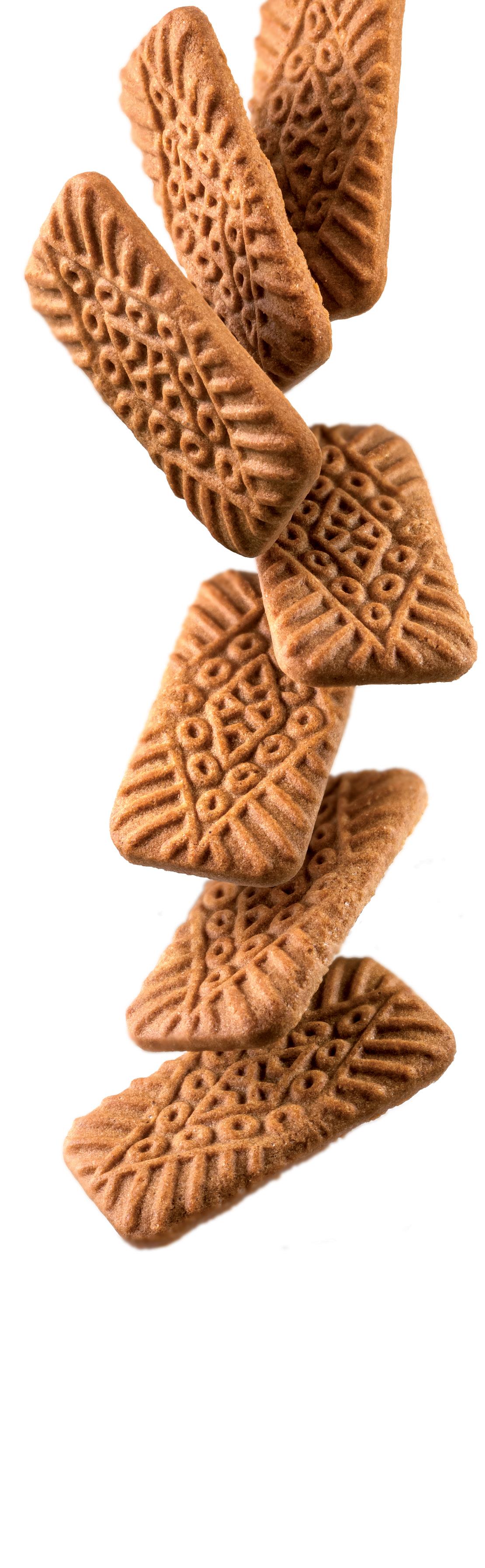 1883 - Speculoos Syrup photo 2