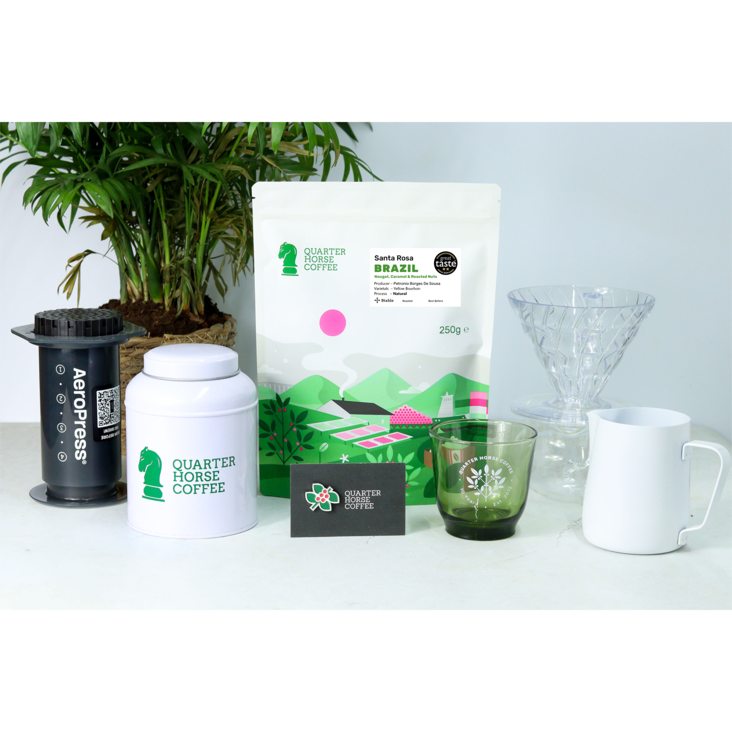 Quarter Horse - Brazil Santa Rosa Beans photo 4