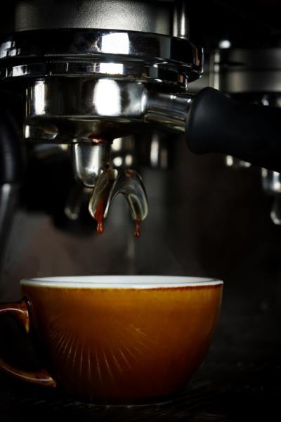 Quarter Horse Coffee - Brazil Santa Rosa 8x1kg photo 2
