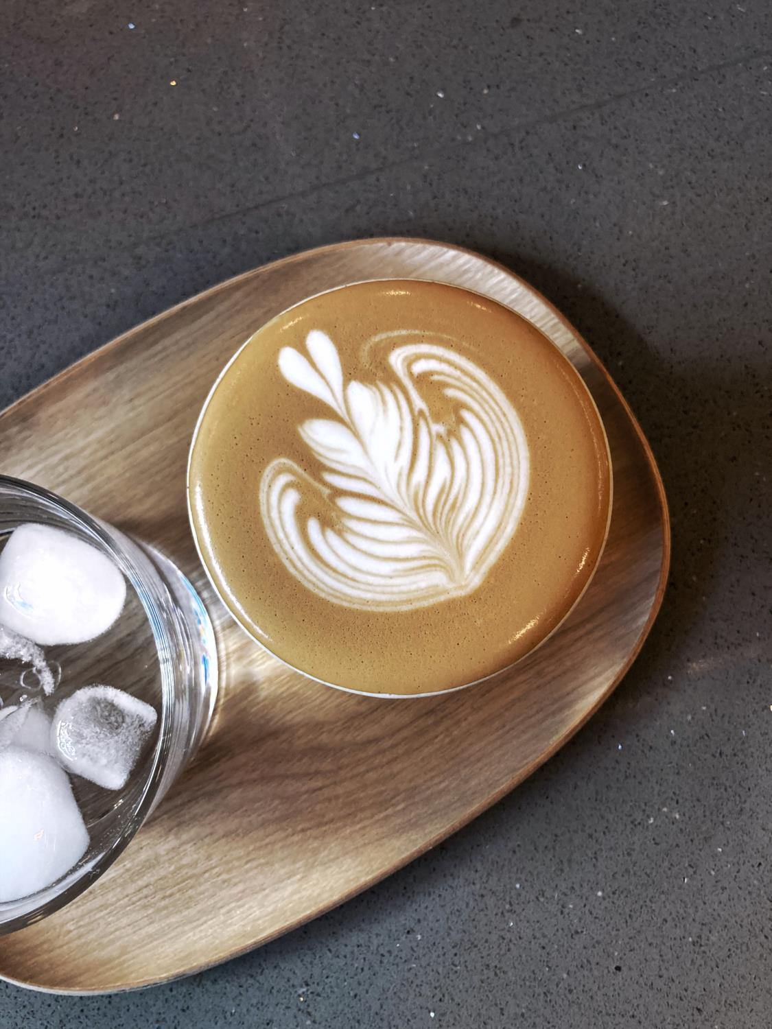 Quarter Horse - Brazil Santa Rosa Beans photo 5