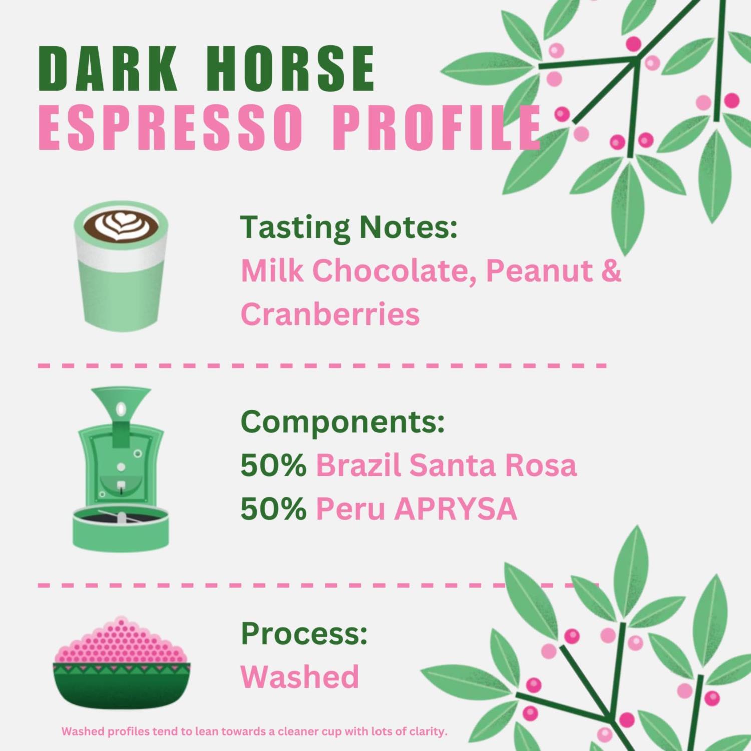 Quarter Horse - Dark Horse Espresso Beans photo 2