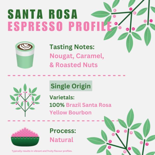 Quarter Horse Coffee - Brazil Santa Rosa 10x1kg photo 2