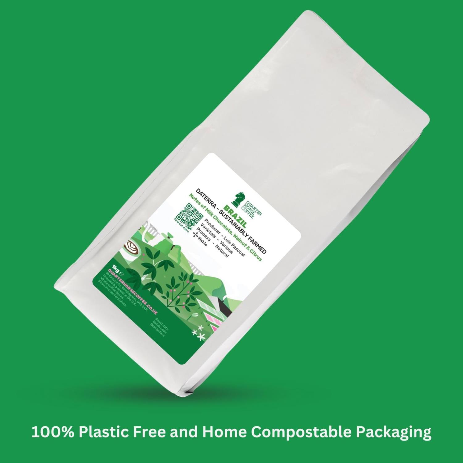 Quarter Horse - Brazil Daterra Beans photo 2