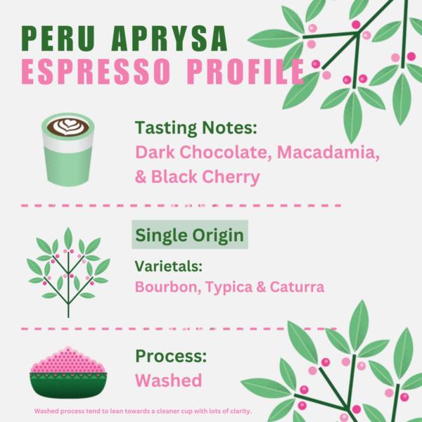 Quarter Horse Coffee - Peru Aprysa Coffee beans - Retail photo 2