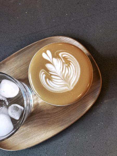 Quarter Horse - Brazil Santa Rosa Beans photo 5