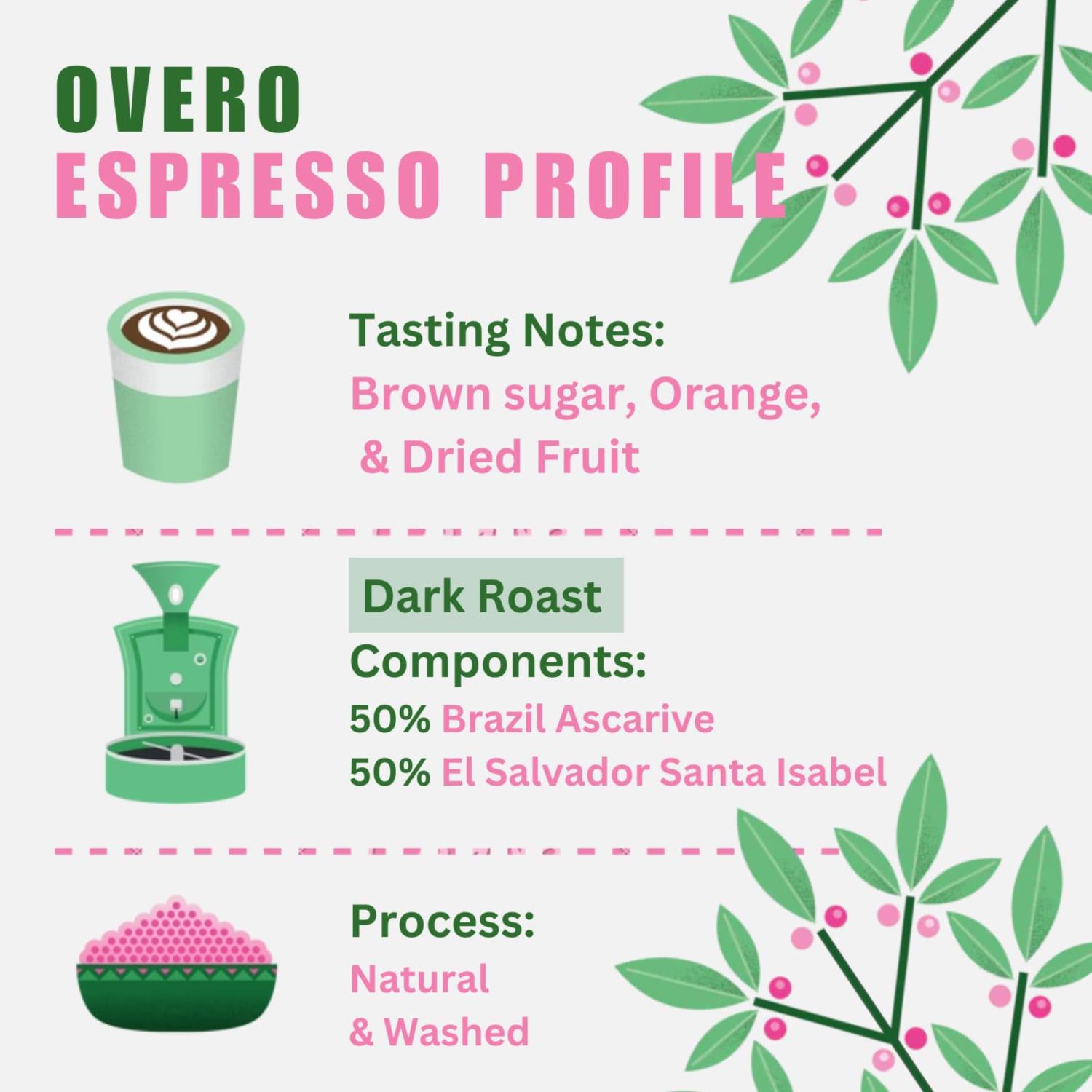 Quarter Horse - Overo Espresso Coffee beans - Retail photo 2