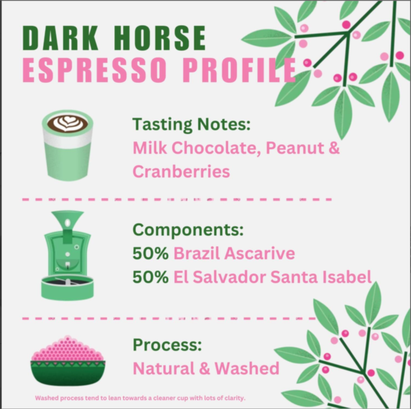 Quarter Horse - Dark Horse Espresso Beans photo 2