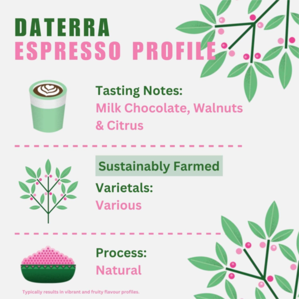 Quarter Horse - Brazil Daterra Beans photo 2