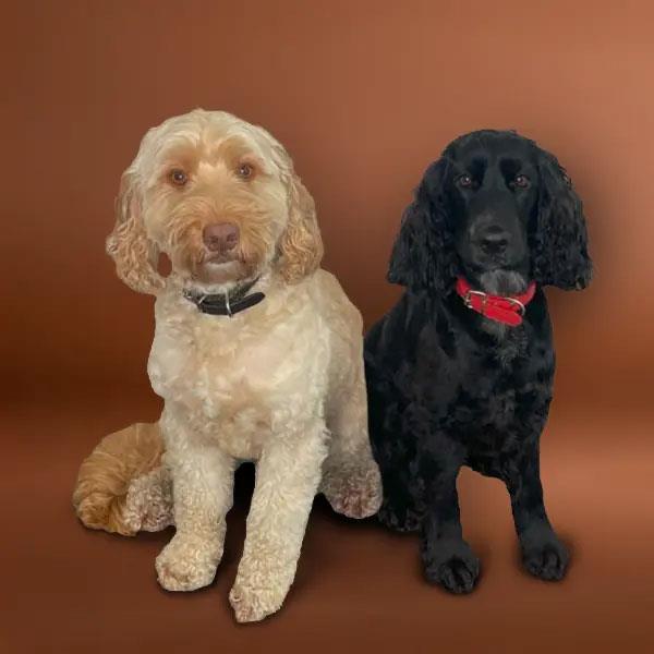 Meet our Heads Of Security Barney & Poppet