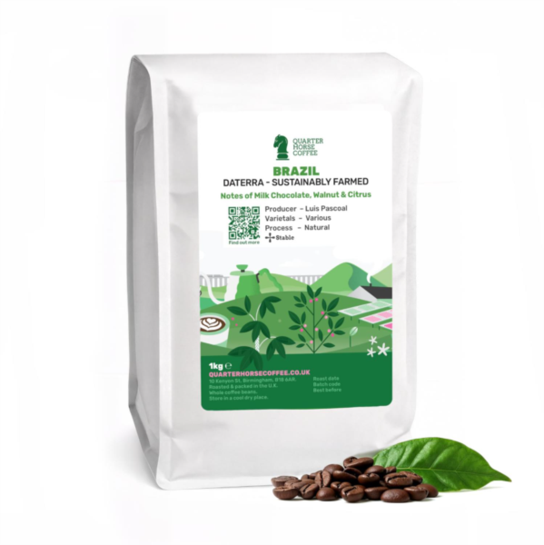 Quarter Horse - Brazil Daterra Beans