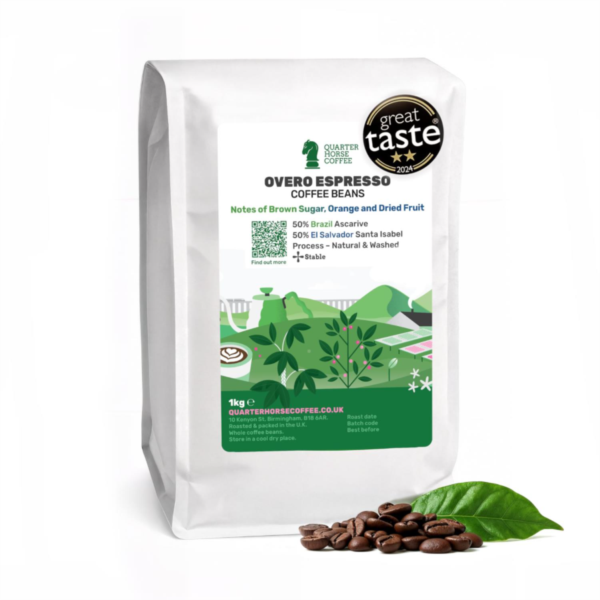 Quarter Horse - Overo Espresso Beans