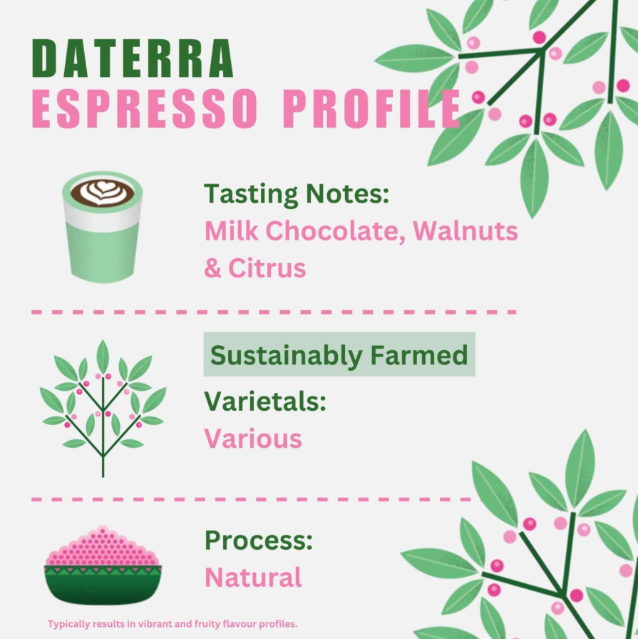 Quarter Horse - Brazil Daterra Beans photo 2