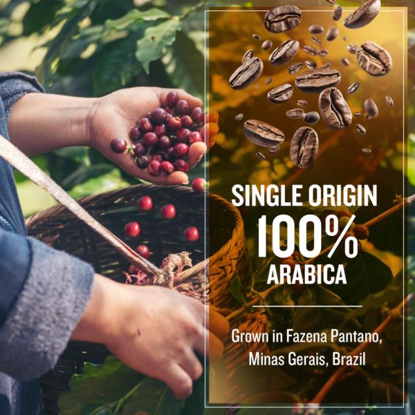 Coffee Masters - Brazil Yellow Bourbon Cold Brew Ground Coffee photo 4