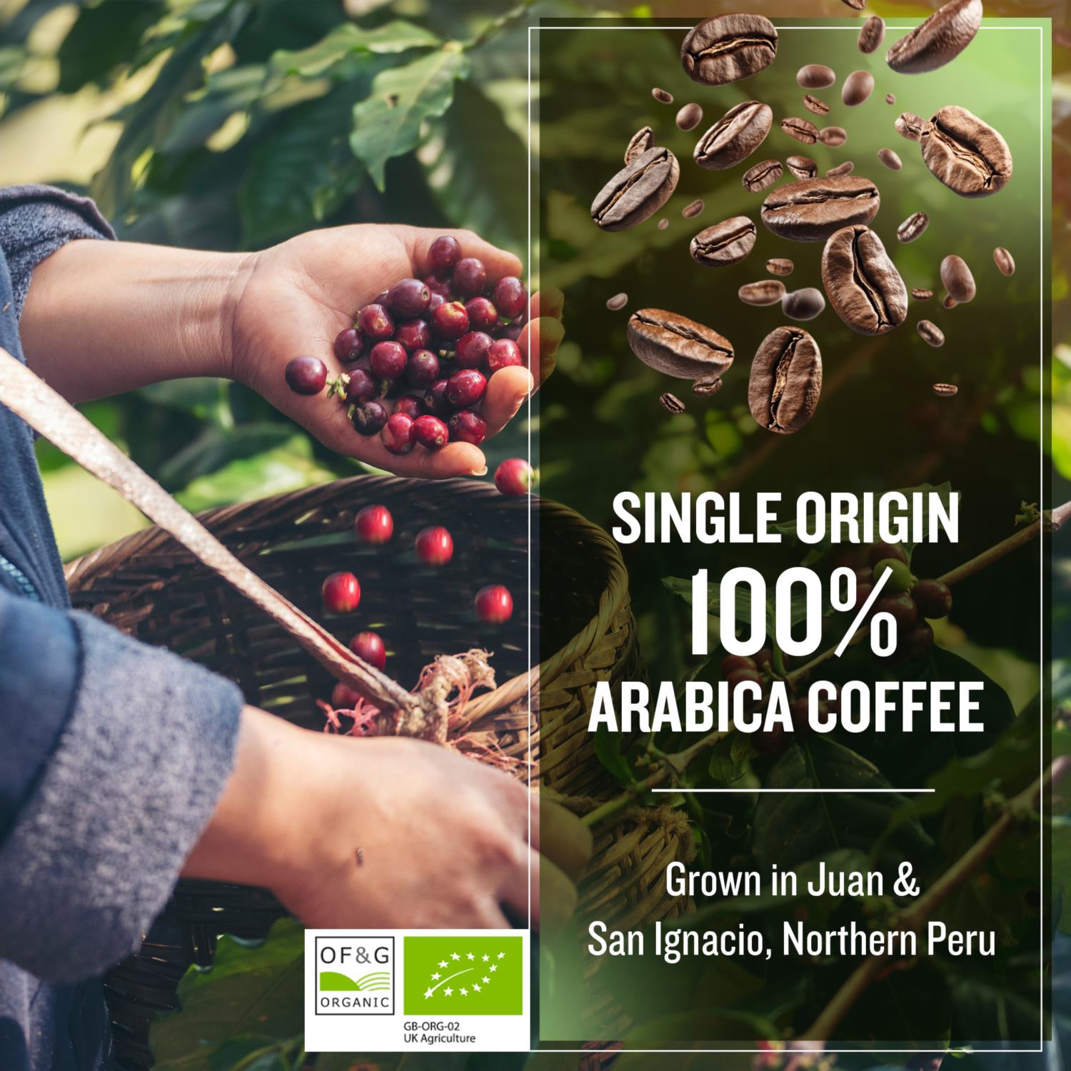 Coffee Masters - Peruvian Organic Cold Brew Ground Coffee photo 5