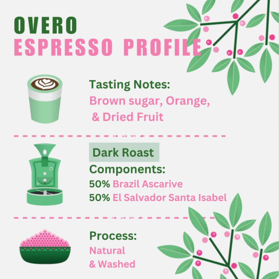 Quarter Horse - Overo Espresso Beans photo 2