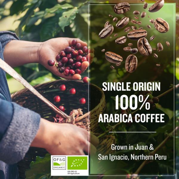 Coffee Masters - Peruvian Organic Cold Brew Ground Coffee photo 5