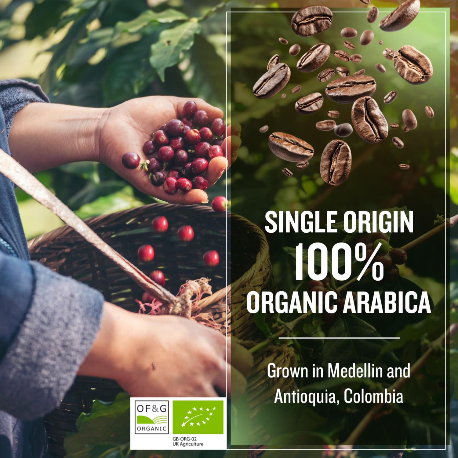 Coffee Masters - Colombian Cold Brew Ground Coffee photo 6