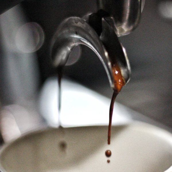 Quarter Horse – Nicaragua Sugar Cane Decaf Beans photo 2