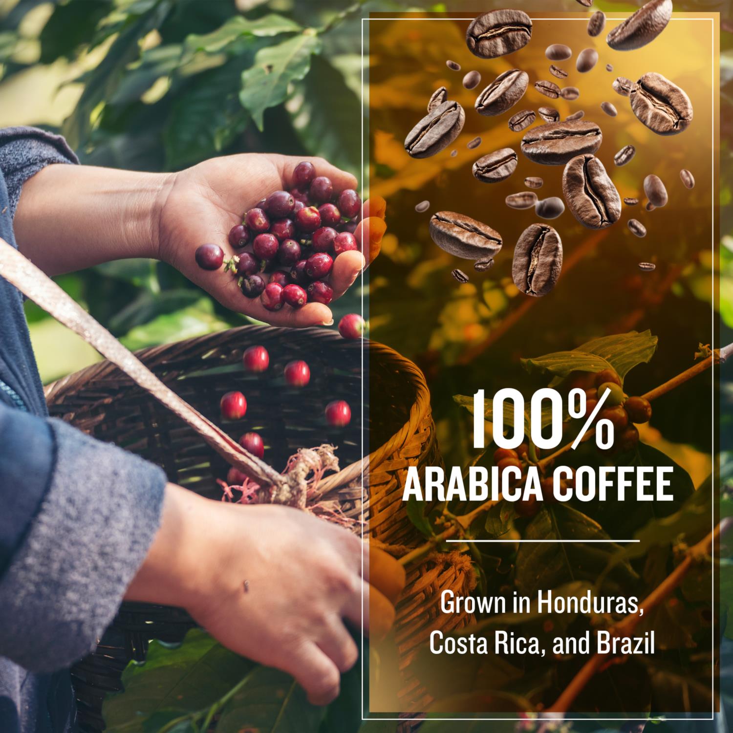 Coffee Masters - Exclusive Master Blend - Cafetiere Ground Coffee photo 2