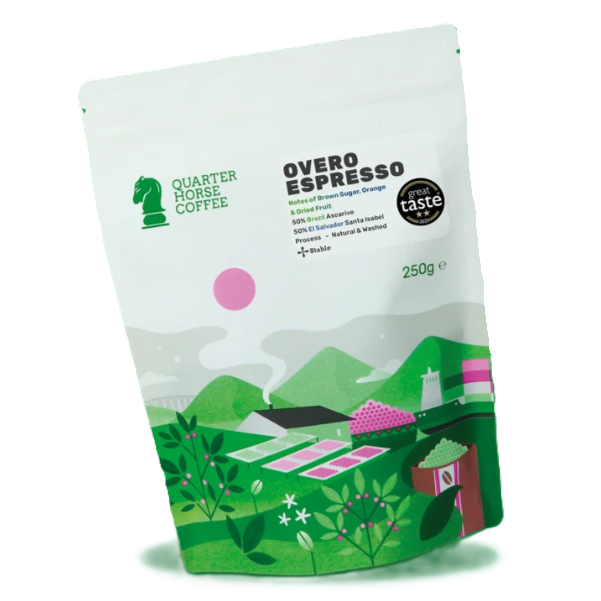 Quarter Horse - Overo Espresso Beans photo 3